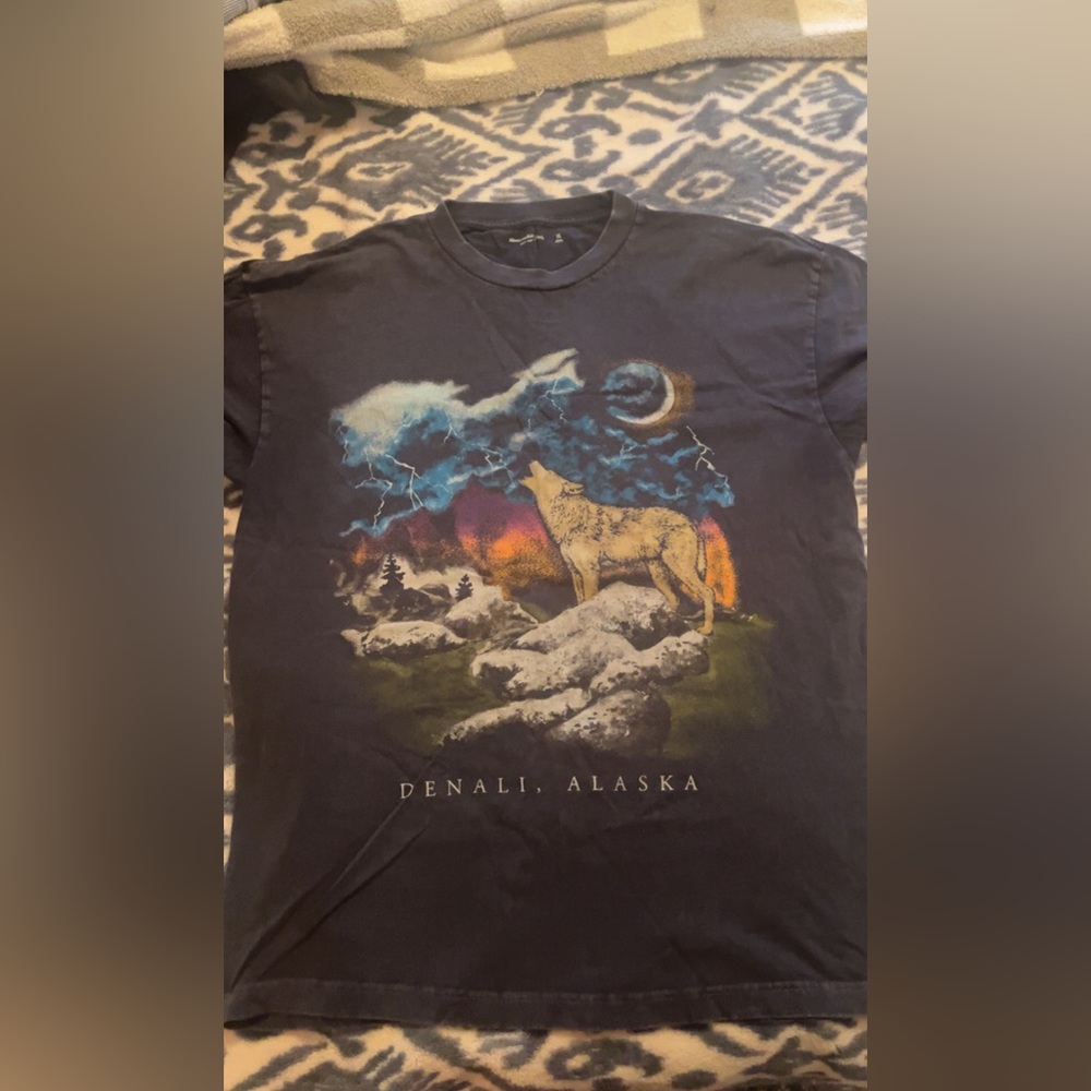 Abercrombie & Fitch Denali Alaska Graphic Tee - Dark blue/gray